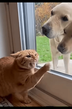 뭘해도-귀여움-0-이미지