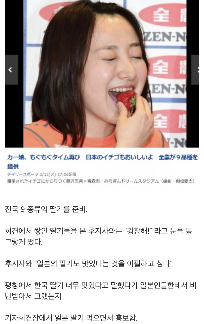 일본의-음습함하면-떠오르는-그놈의-딸기-(feat.사카구치-켄타로,아베)-0-이미지