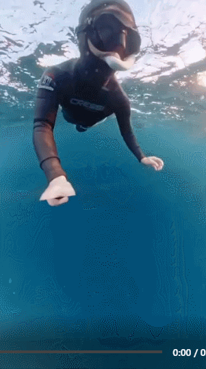 고래에게-삼켜질-뻔-0-이미지