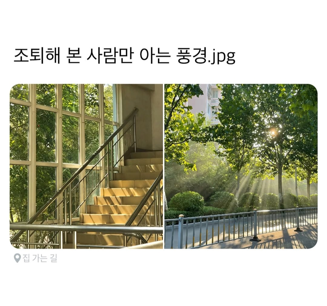 조퇴해-본-사람만-아는-풍경-0-이미지