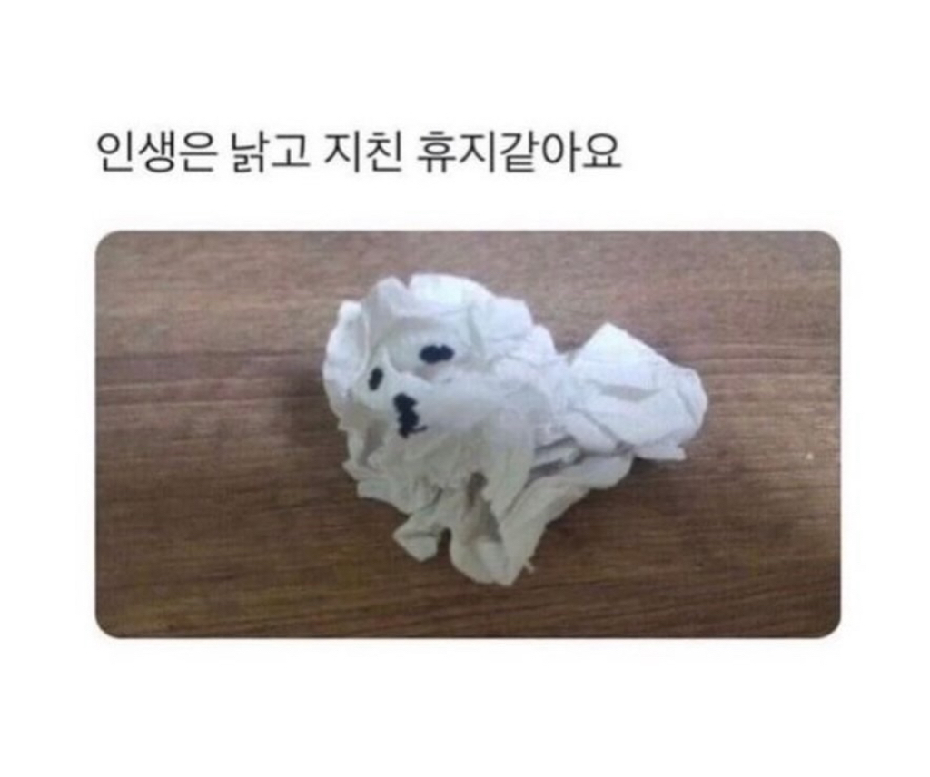 어느-푸드-스타일리스트의-기발한-작품들-29-이미지