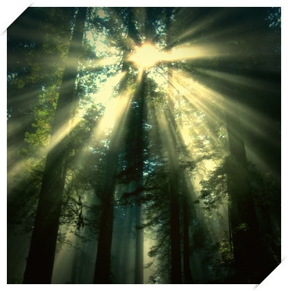 반드시-하나의-인생을-선택해야-한다면?-5-이미지