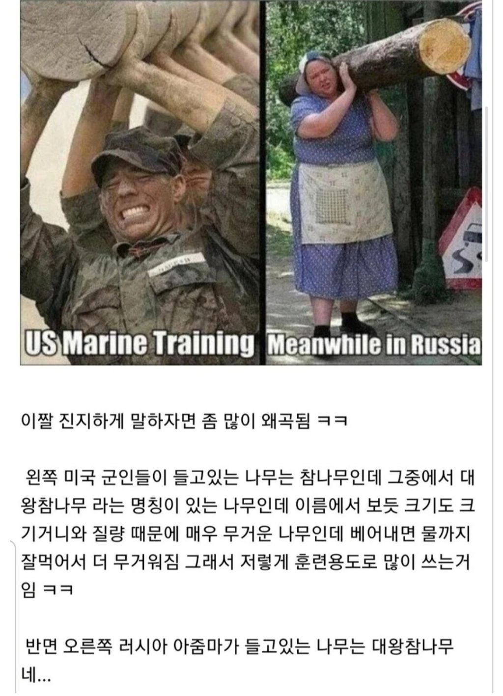 많이-외곡돼어-알려진-짤의진실-1-이미지