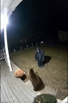 뒤로-벌러덩-0-이미지