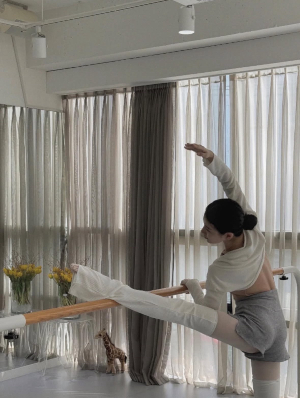 발레-수지-30-이미지