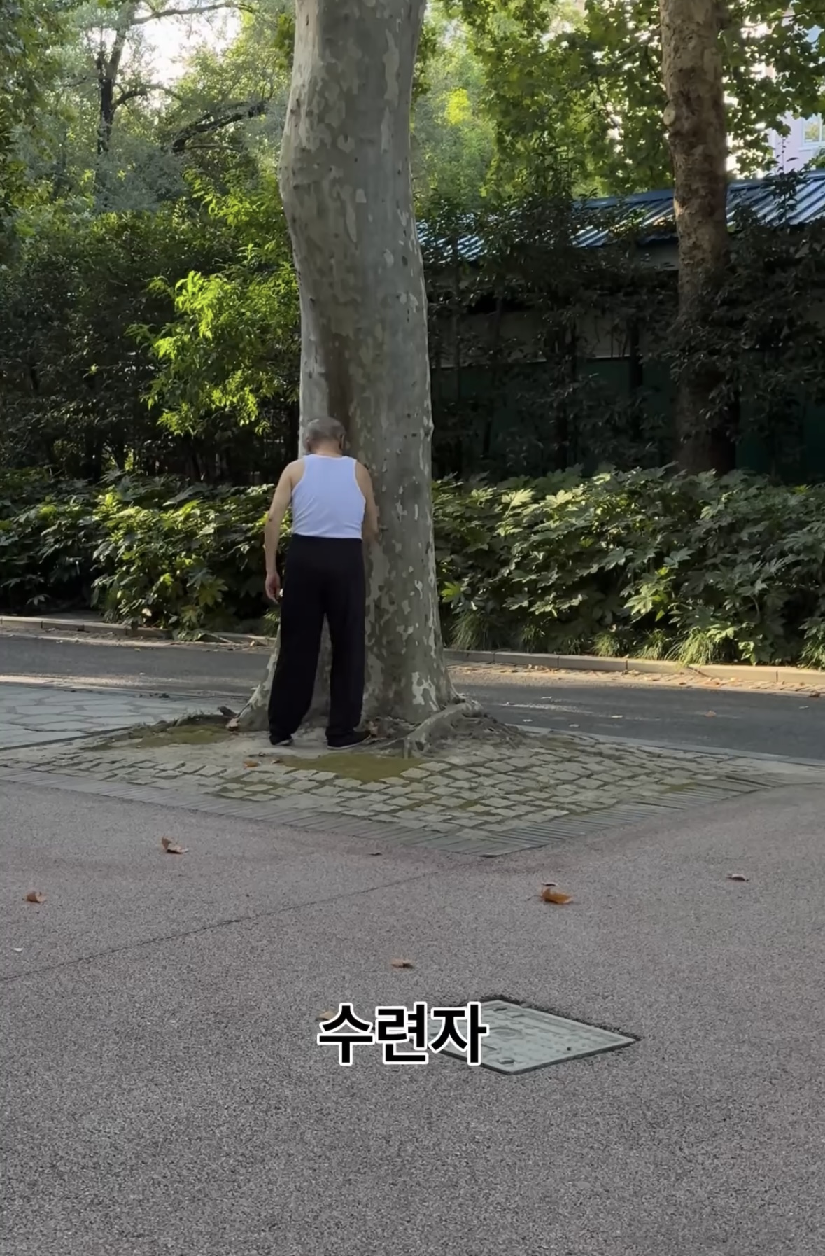 내가-중국에서-러닝하다가-포기한-이유.jpg-12-이미지