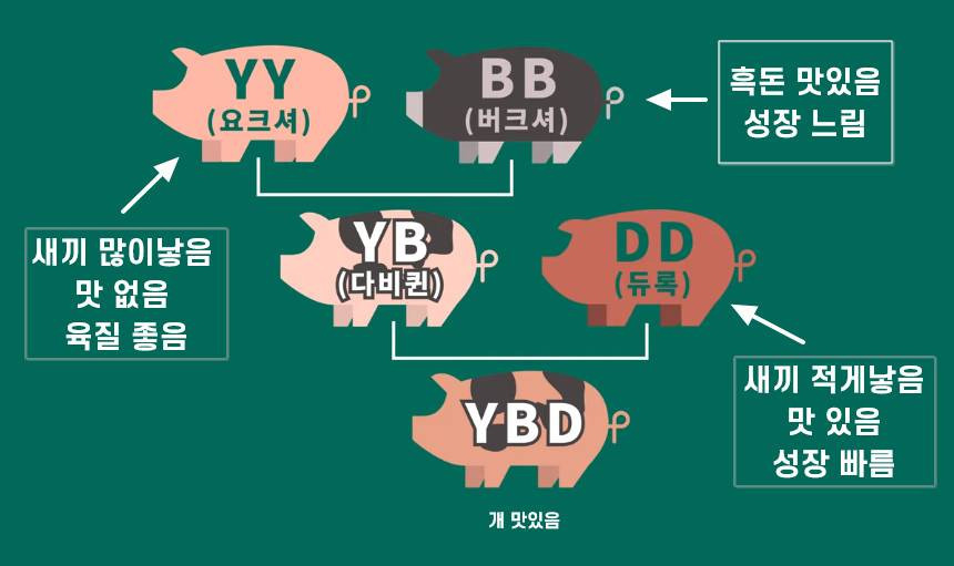 간단히-이해해보는-요즘-삼겹살이-어딜가든-평타는-치는-이유.jpg-1-이미지