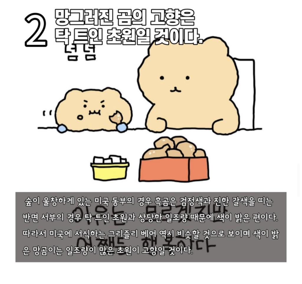 수의사가-분석하는-망그러진-곰-3-이미지