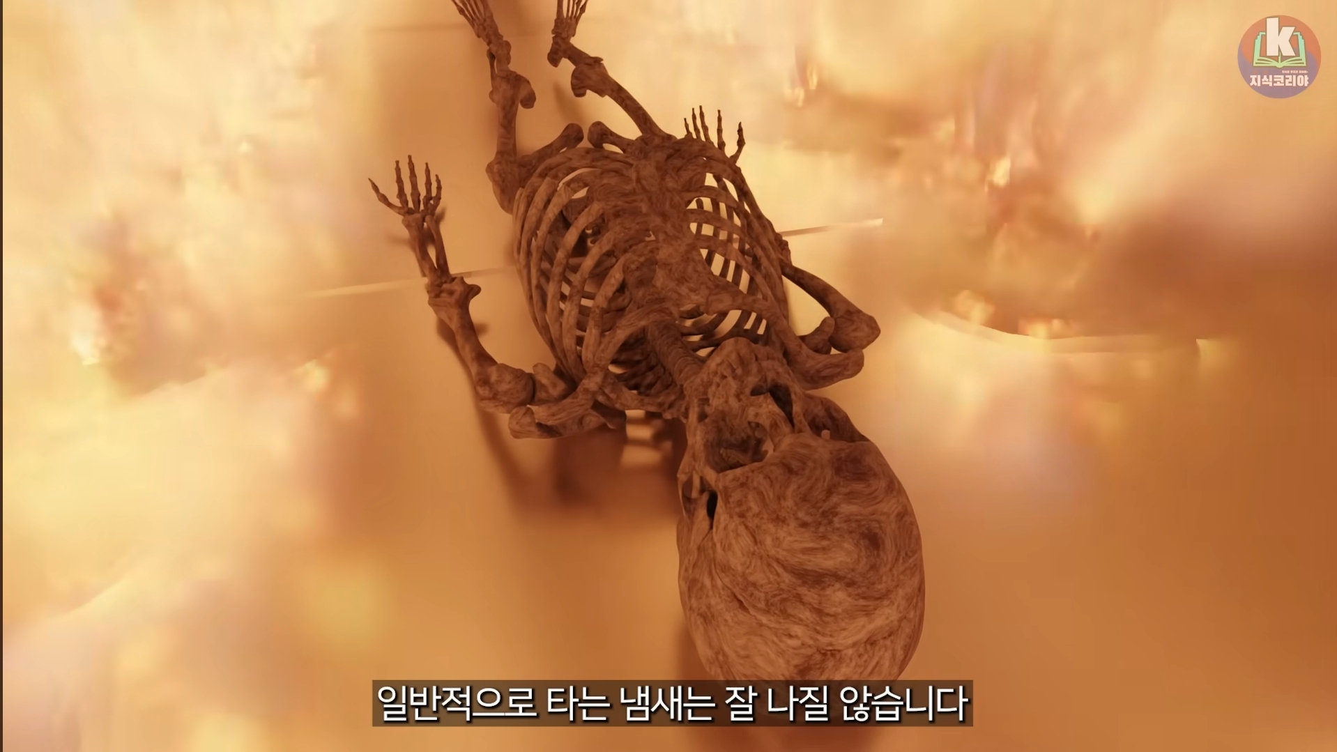 시체-화장-과정-알아보기(그림이지만-뼈-나옴)-19-이미지