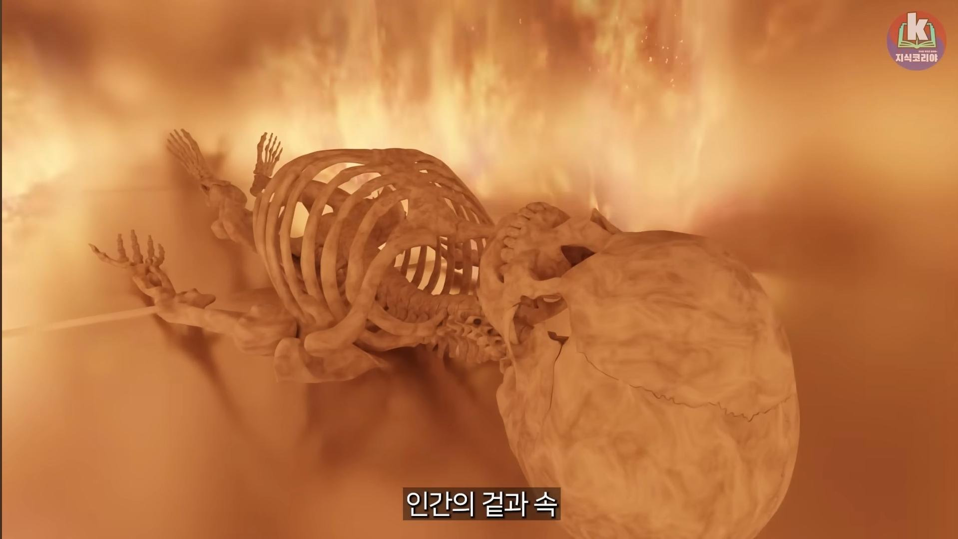 시체-화장-과정-알아보기(그림이지만-뼈-나옴)-15-이미지