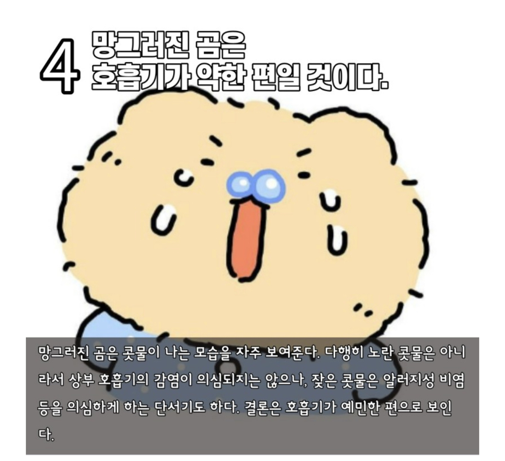 수의사가-분석하는-망그러진-곰-5-이미지