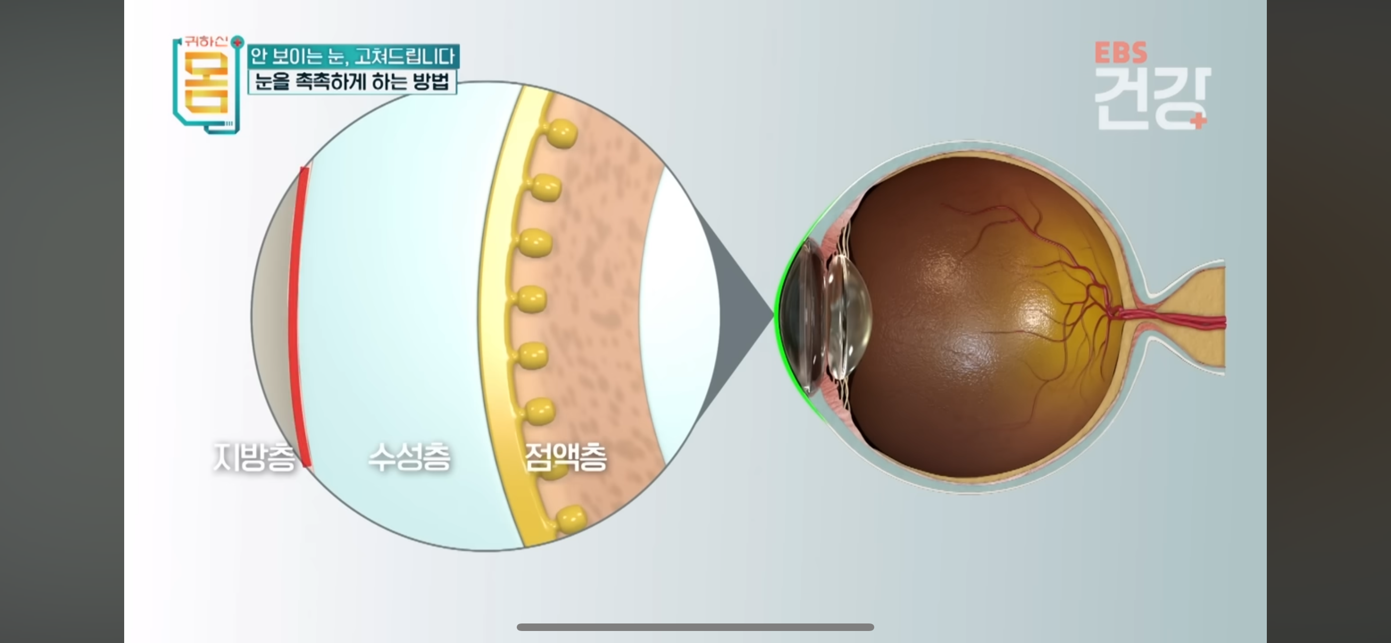 안구건강관리법-메모-0-이미지