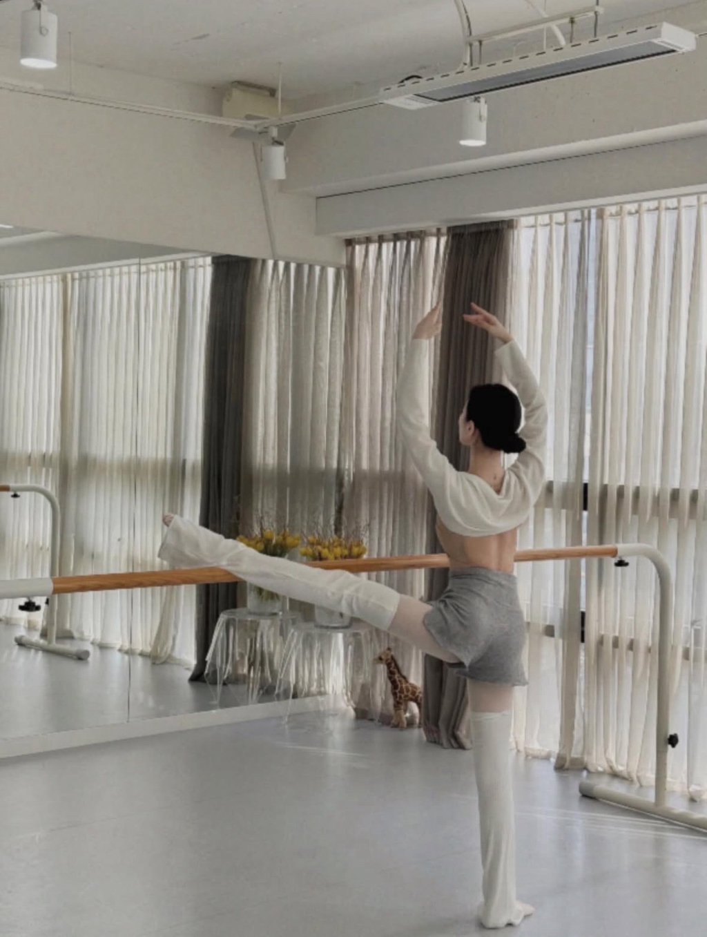 발레-수지-29-이미지