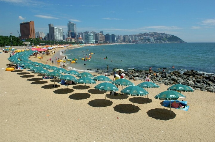 그렇게-꺼지라고-했는데-막상-가니까-아쉬운-녀석..jpg-0-이미지