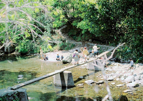 그렇게-꺼지라고-했는데-막상-가니까-아쉬운-녀석..jpg-5-이미지