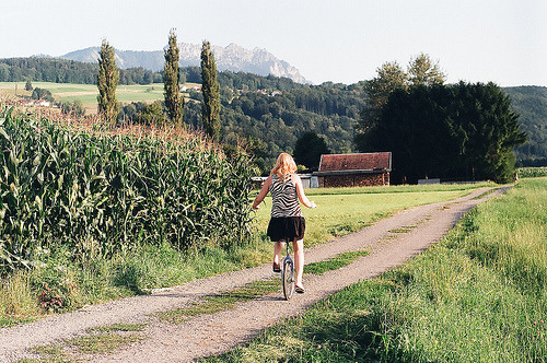 그렇게-꺼지라고-했는데-막상-가니까-아쉬운-녀석..jpg-3-이미지