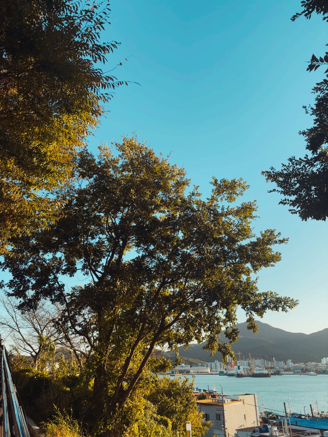 최근에-찍은-풍경사진도-공유하자-0-이미지