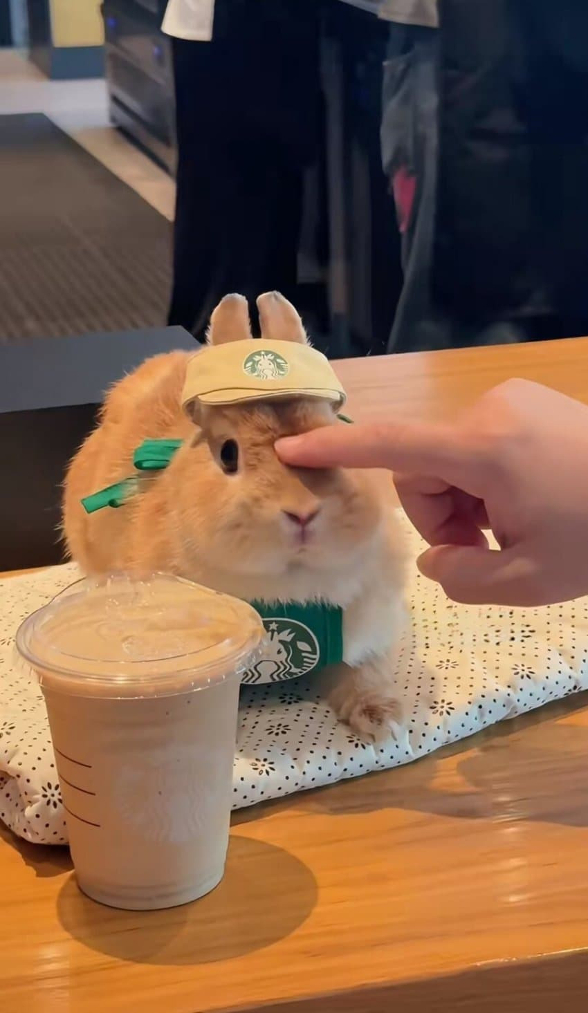 퇴직한지-5년-넘은-분이-축의금-달라고-문자보냄-0-이미지