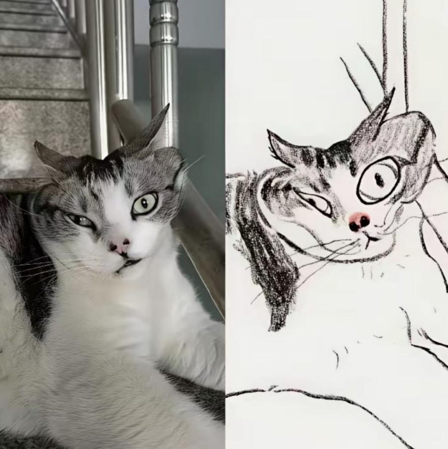 그림이랑-똑같은-고양이-5-이미지