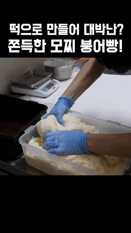 쫀득한-모찌-붕어빵-0-이미지