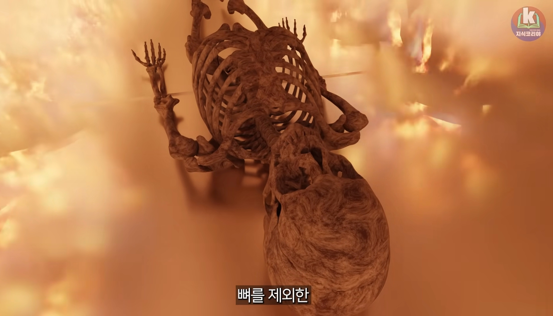 시체-화장-과정-알아보기(그림이지만-뼈-나옴)-20-이미지