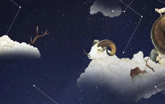 ＜수잔-밀러＞-11월-둘째-주-별자리-운세-0-이미지