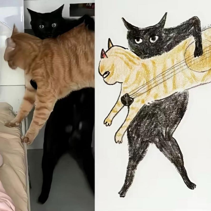 그림이랑-똑같은-고양이-3-이미지