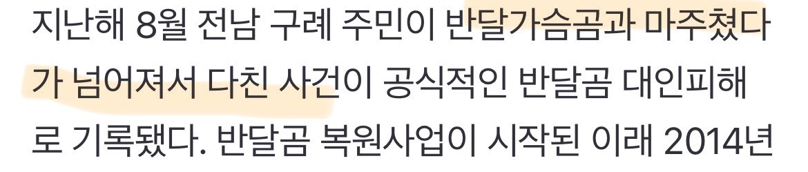 할머니-사는-동네에-가끔-반달곰-목격소식-있다던데-4-이미지