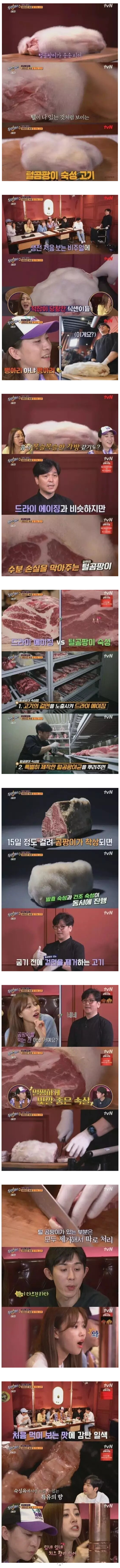 곰팡이로-숙성시킨-고기.jpg-1-이미지