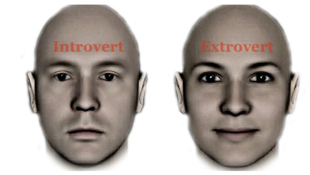 사람들이-인식하는-내향인-외향인-외모-구조-0-이미지