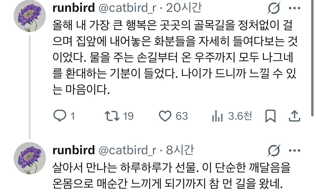 엄마,-청춘이-사라지면-나이-먹고-뭐가-재밌어?-4-이미지