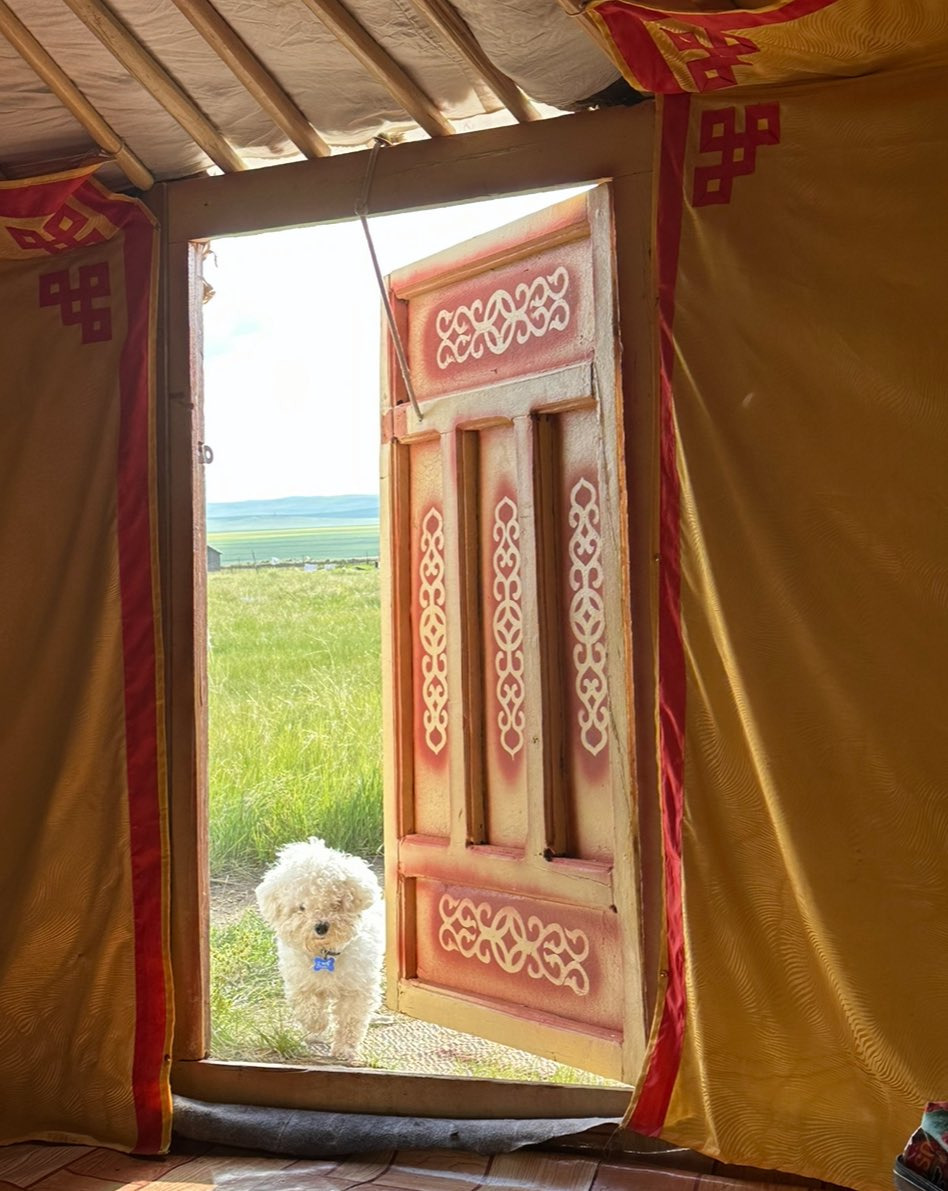 몽골-여행-장점.jpg-1-이미지