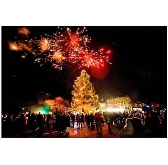 43년동안-키운-크리스마스-트리.jpg-3-이미지