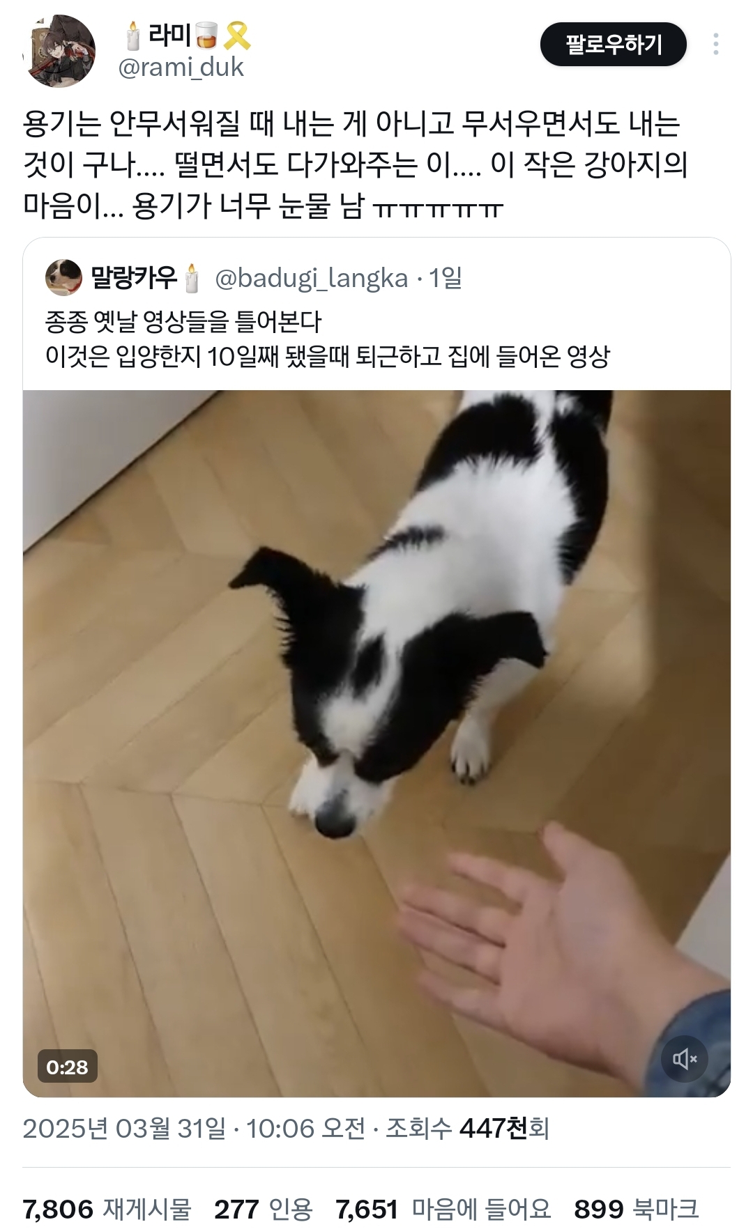 강아지-입양-10일째-됐을-때-퇴근하고-집에-들어왔을-때-영상.twt-0-이미지