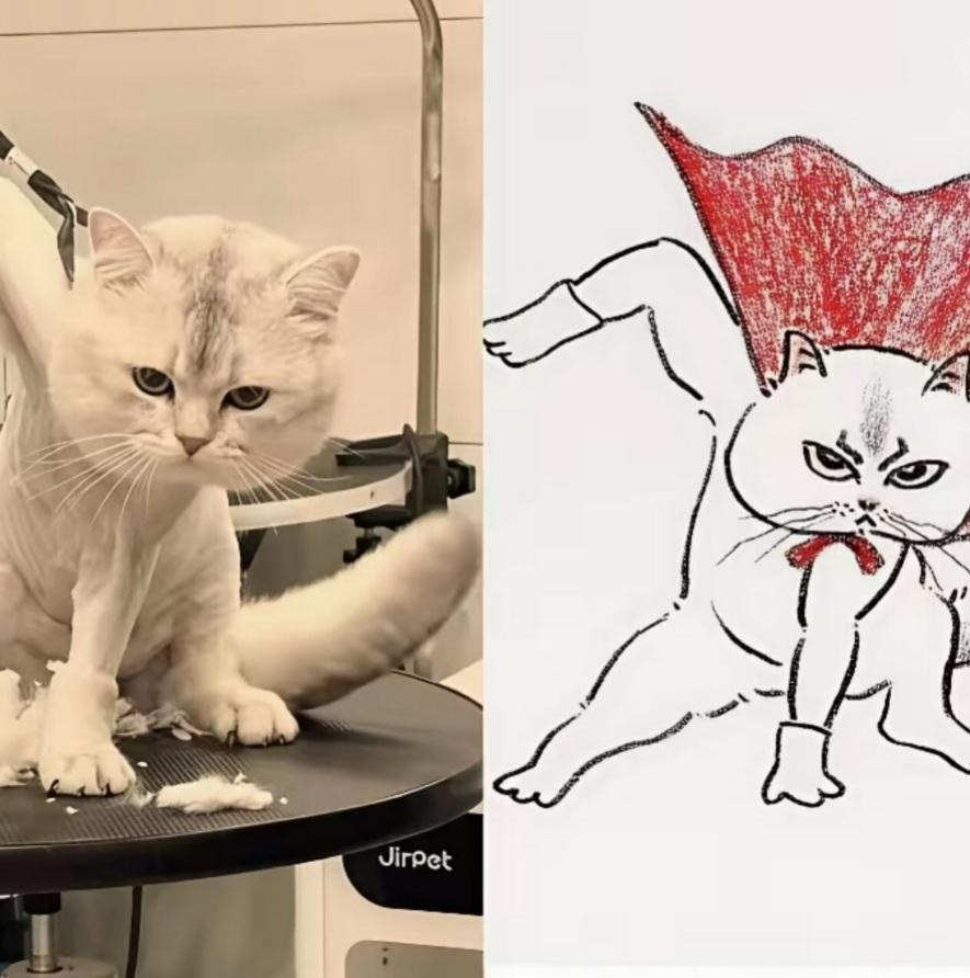 그림이랑-똑같은-고양이-6-이미지