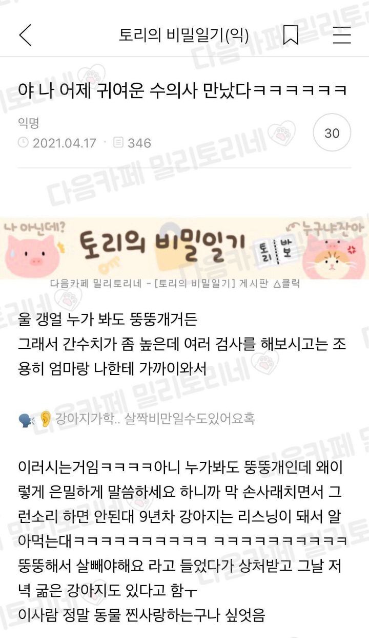 저-강아지-진짜-뚱뚱하다-1-이미지