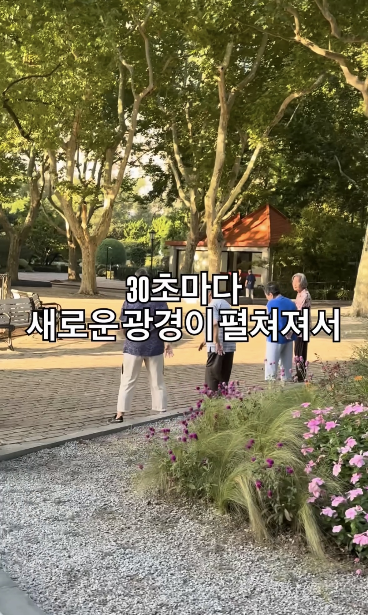 내가-중국에서-러닝하다가-포기한-이유.jpg-5-이미지