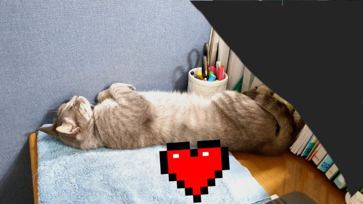 울엄마-근무환경-개부럽.....ㅠㅠㅜㅋㅋㅋㅋㅋ냥세권..-1-이미지