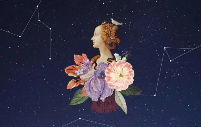 ＜수잔-밀러＞-11월-둘째-주-별자리-운세-10-이미지