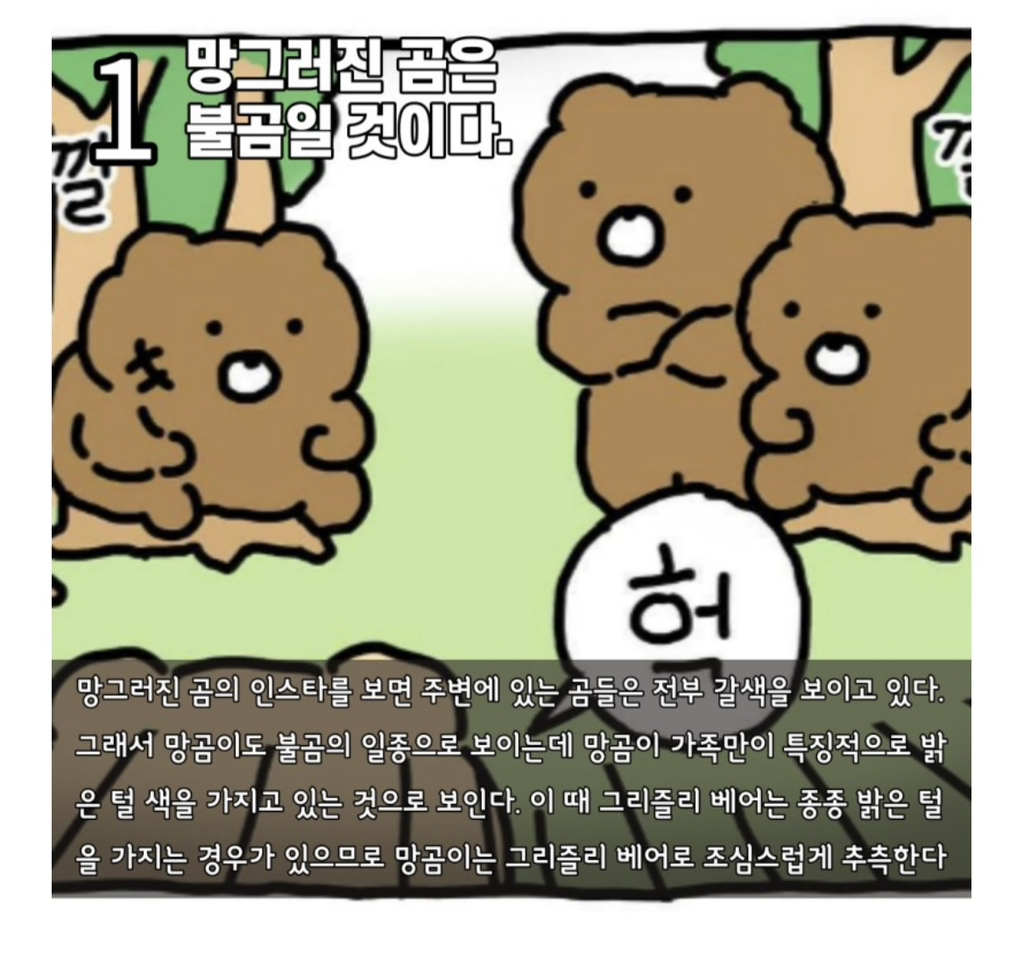 수의사가-분석하는-망그러진-곰-1-이미지