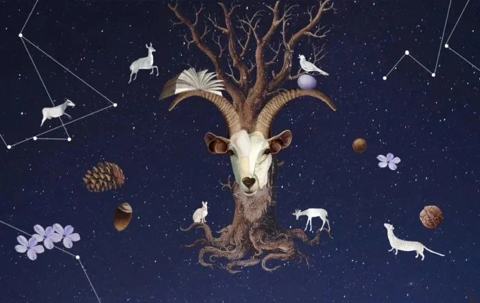 ＜수잔-밀러＞-11월-둘째-주-별자리-운세-18-이미지