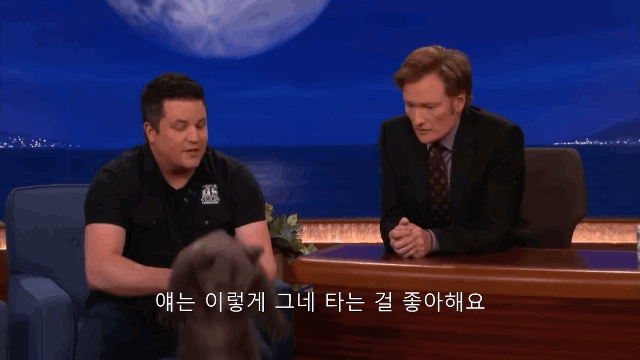 아기-불곰🐻.gif-1-이미지