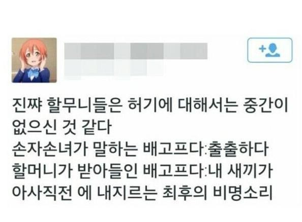 전세계-할머니들-특징-7-이미지