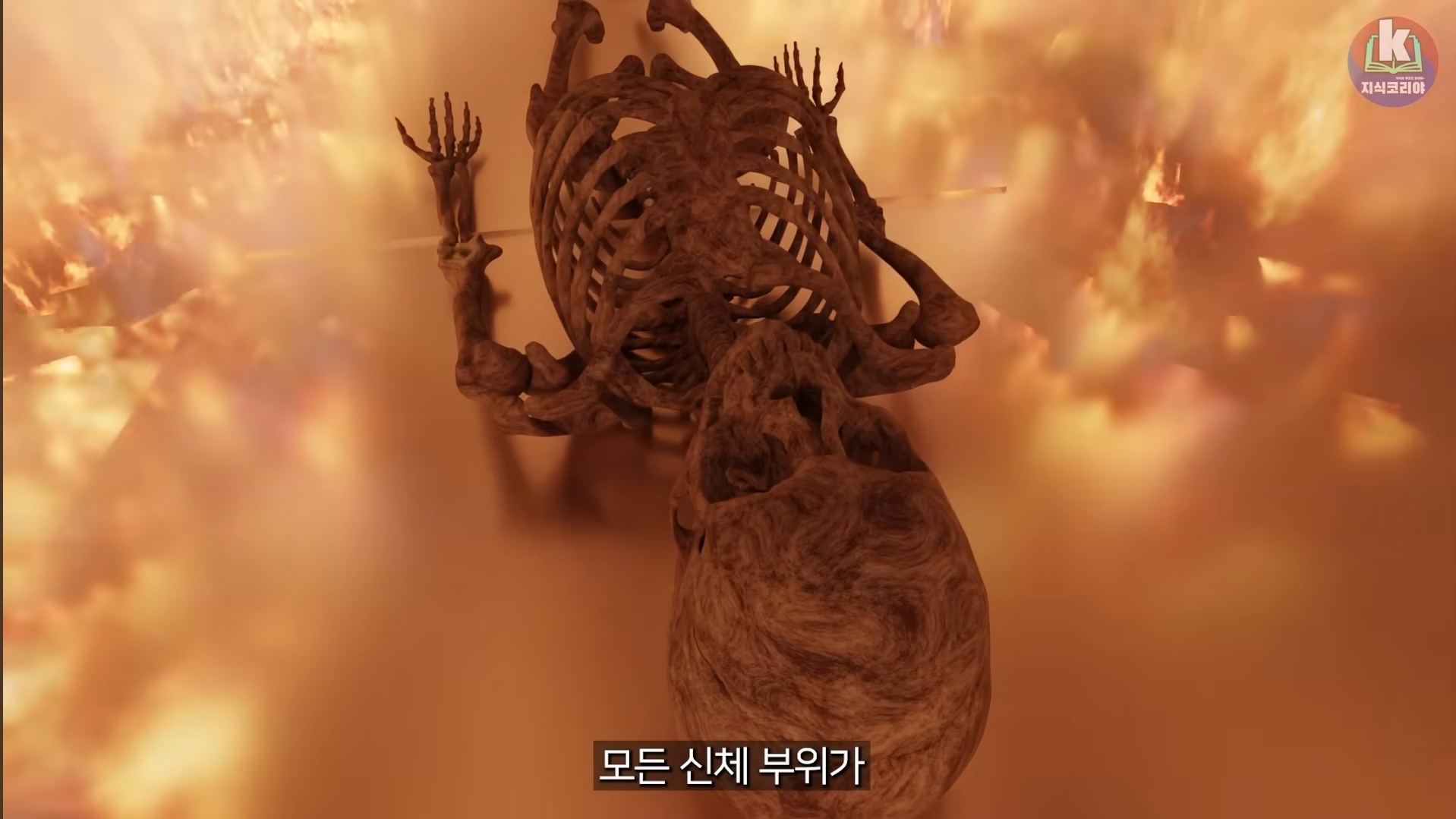 시체-화장-과정-알아보기(그림이지만-뼈-나옴)-21-이미지