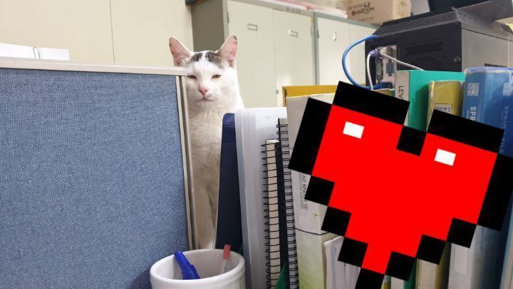 울엄마-근무환경-개부럽.....ㅠㅠㅜㅋㅋㅋㅋㅋ냥세권..-3-이미지