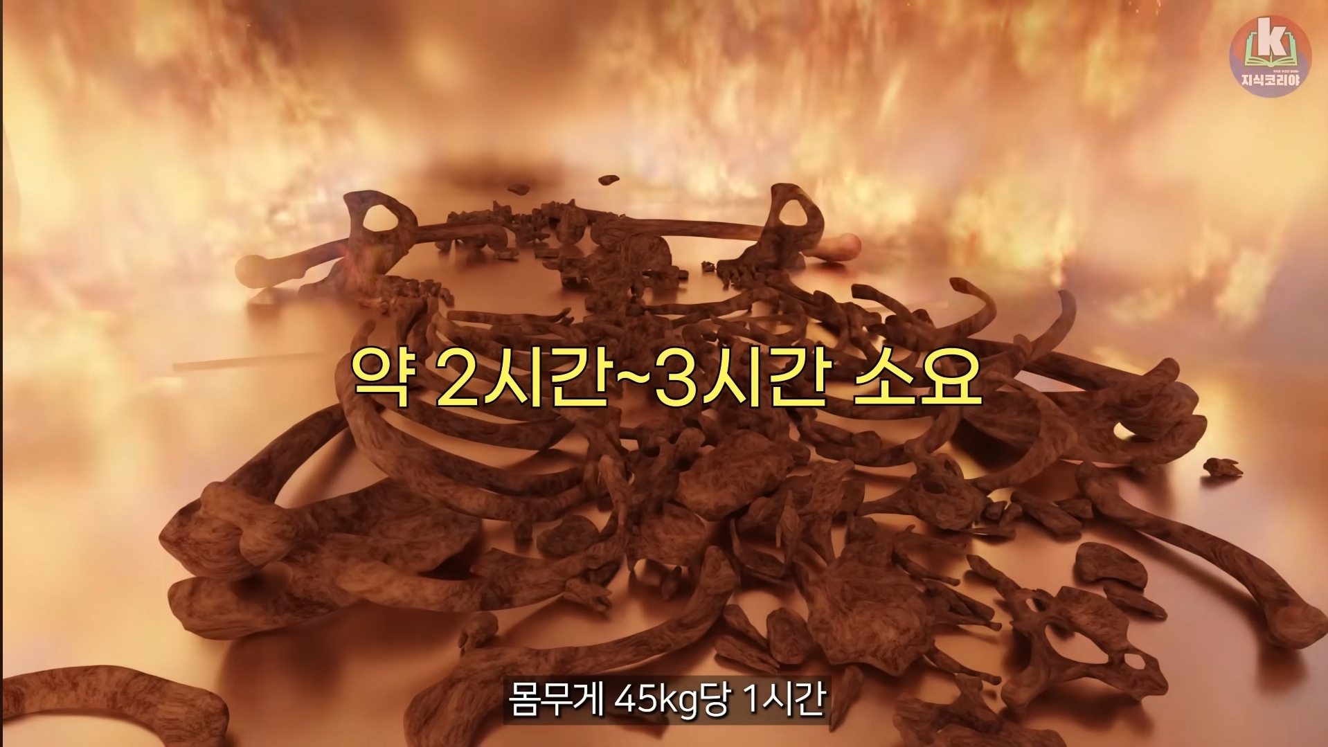 시체-화장-과정-알아보기(그림이지만-뼈-나옴)-25-이미지