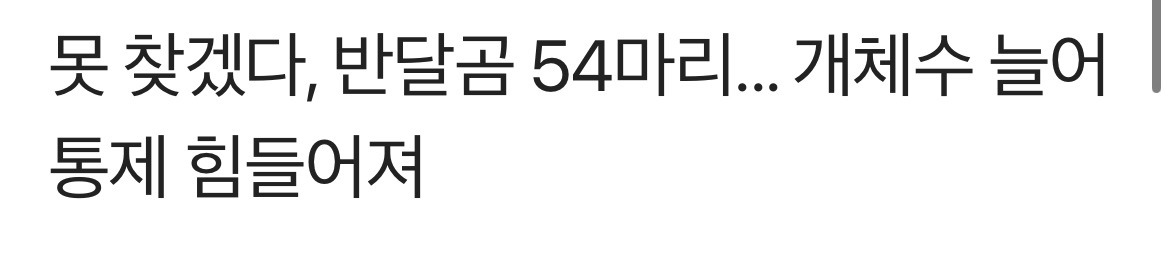 할머니-사는-동네에-가끔-반달곰-목격소식-있다던데-1-이미지