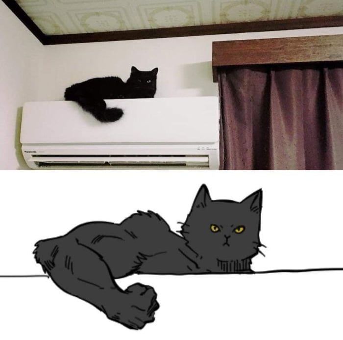 논란이-된-미피-사진-1-이미지