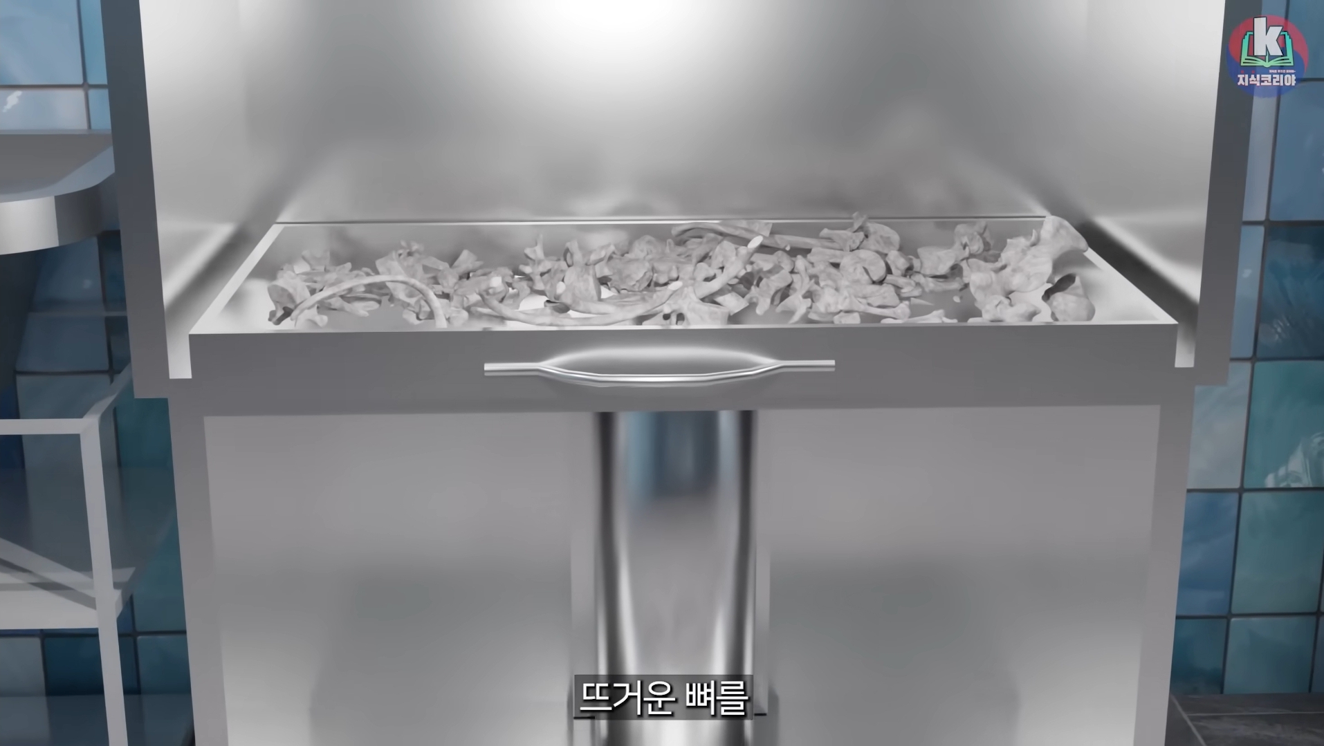 시체-화장-과정-알아보기(그림이지만-뼈-나옴)-28-이미지