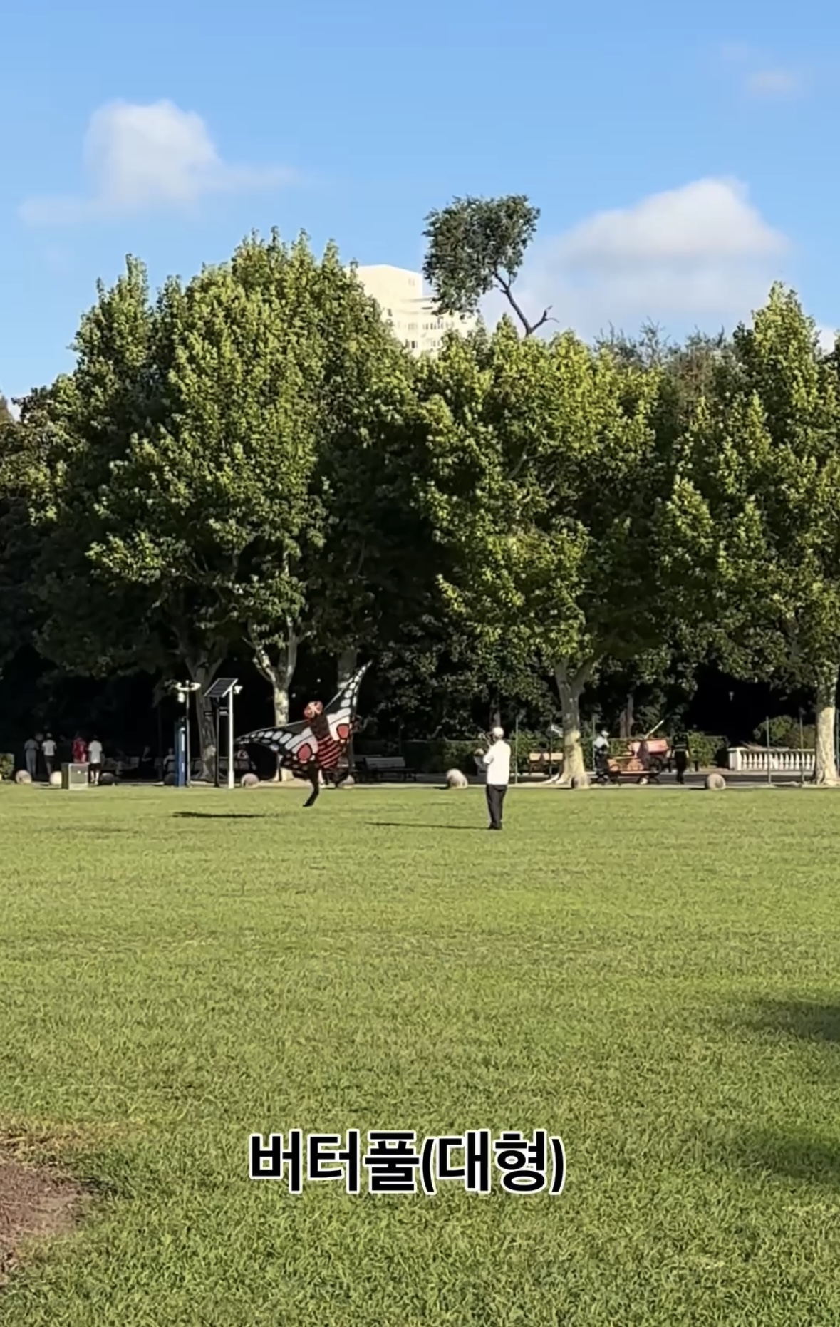 내가-중국에서-러닝하다가-포기한-이유.jpg-20-이미지